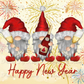 Happy New Year Gnome Tumbler